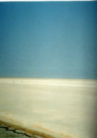salt dessert